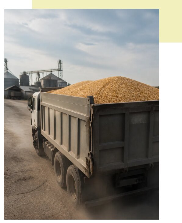 Перевозка сельхозпродукции навалом в Малгобека по цене от 3095 р. | Агросервис-Млг